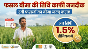 फसल बीमा की तिथि काफी नजदीक : रबी फसलों का बीमा जल्द कराए , अब सिर्फ 1.5% प्रीमियम में