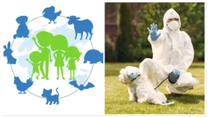 जूनोटिक रोग