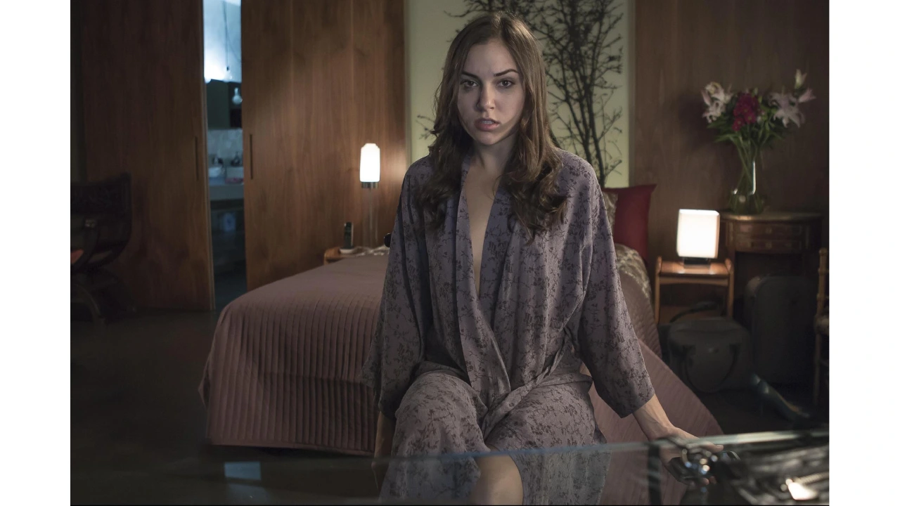 Sasha Grey का Multi-Industry Career