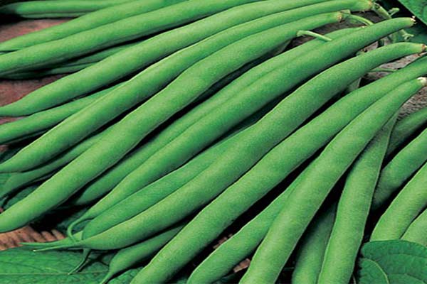 ज्यादा खाने से साइड इफेक्ट,पाचन संबंधी,मिनरल एब्जॉर्प्शन,थायराइड और एलर्जी