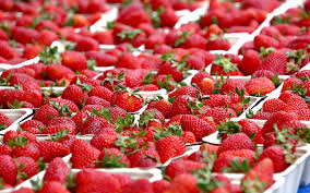 APEDA और वर्ल्ड ट्रेड सेंटर की भूमिका