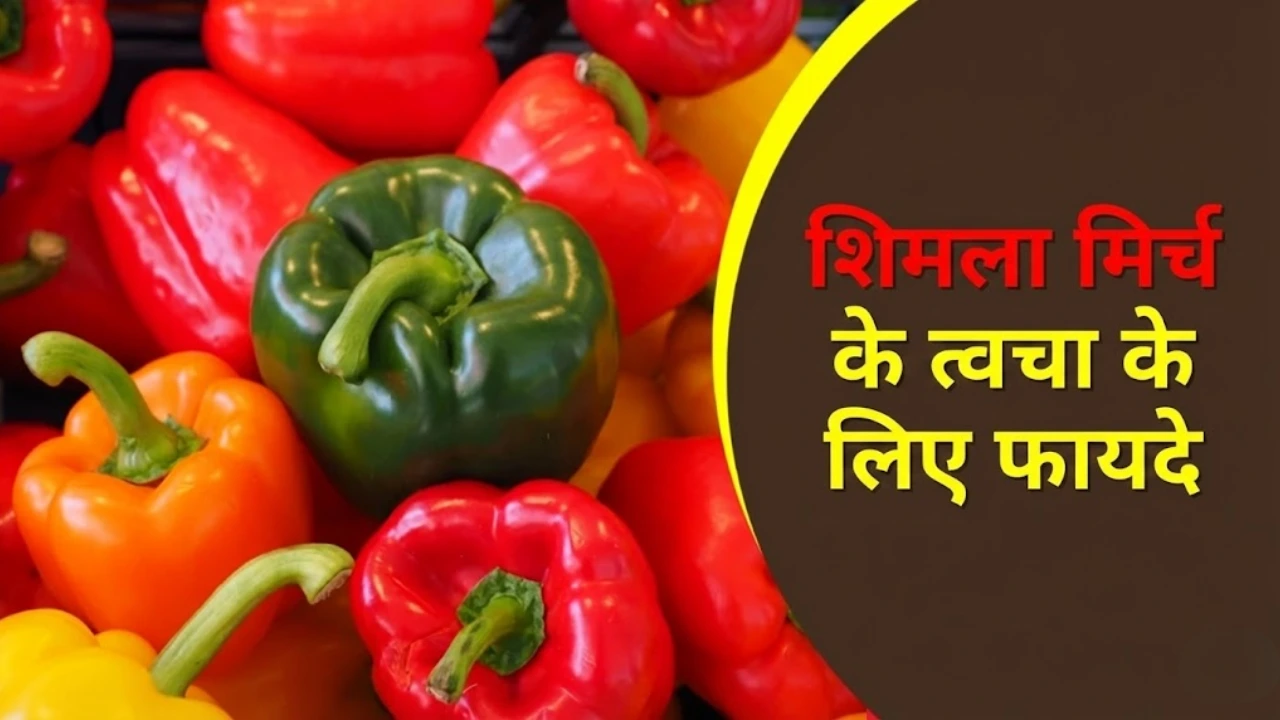 Skin Care Tips: शिमला मिर्च से पाएं नेचुरल ग्लो, जानें फायदे और फेस पैक