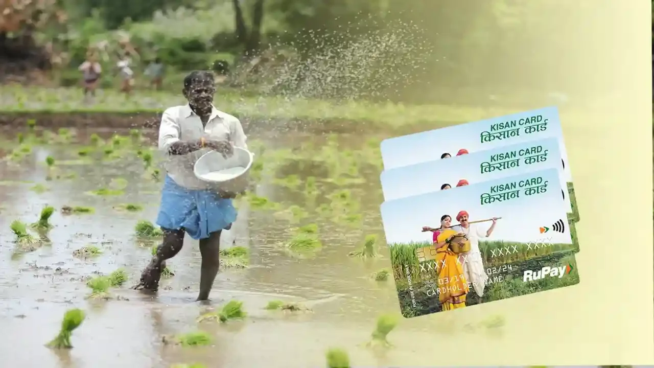 RBI ने किसानों के लिए ब्याज सब्सिडी योजना जारी रखने की दी सलाह, FY26 में भी मिलेगा सस्ता कृषि ऋण