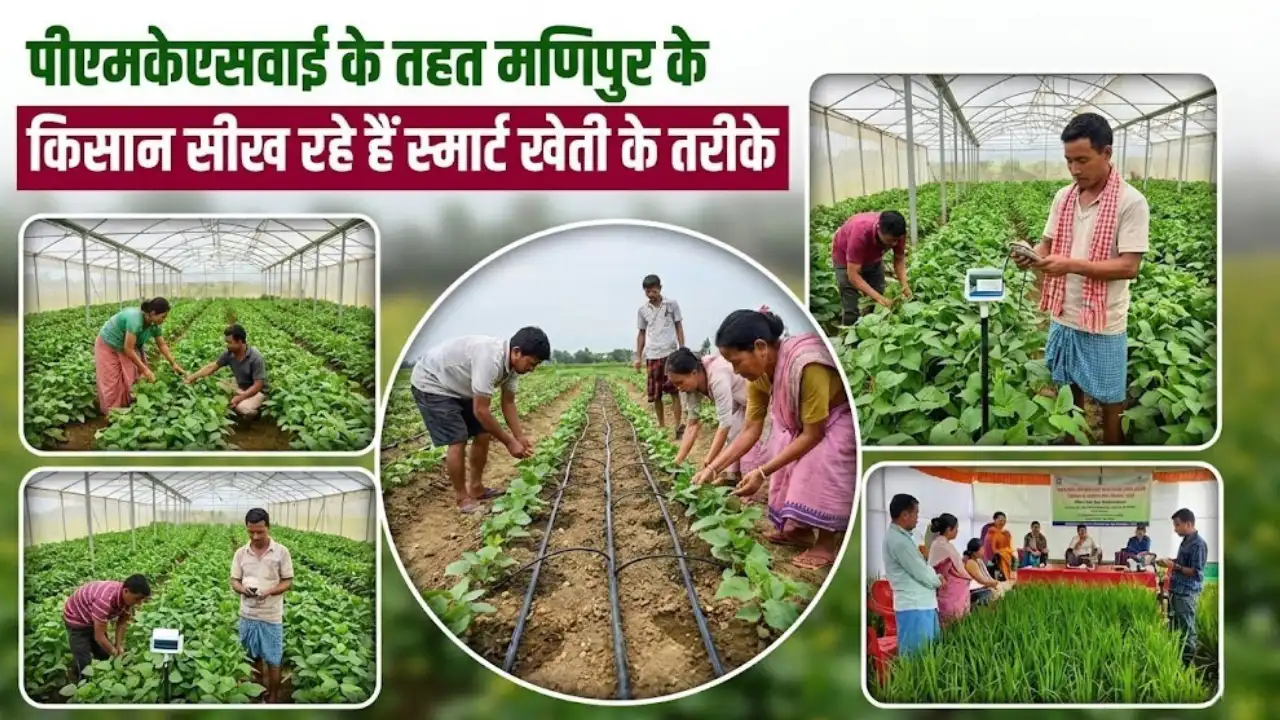 पीएम कृषि सिंचाई योजना से मणिपुर के किसान अपनाते स्मार्ट और टिकाऊ खेती