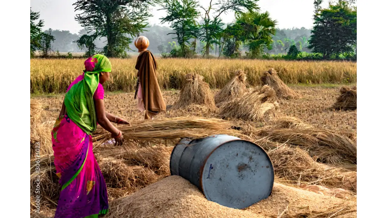 भारत की अर्थव्यवस्था में कृषि की भूमिका