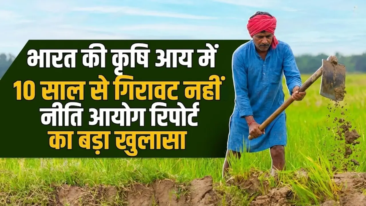 भारत की कृषि आय में 10 साल से गिरावट नहीं: नीति आयोग रिपोर्ट का बड़ा खुलासा