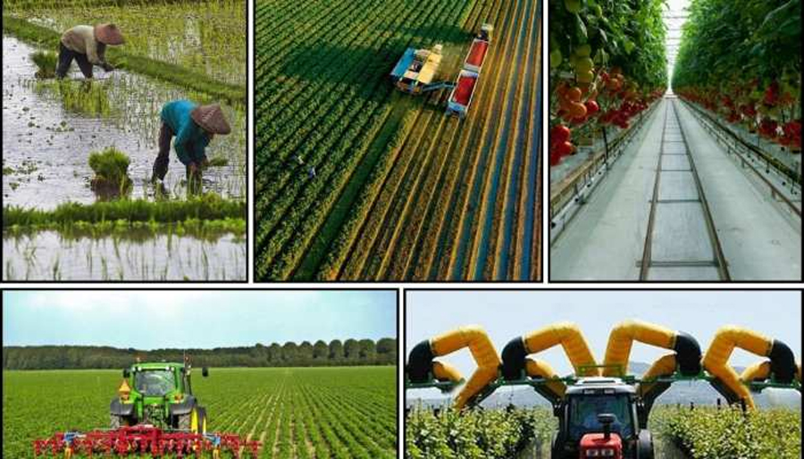 India-Israel Agri Agreements