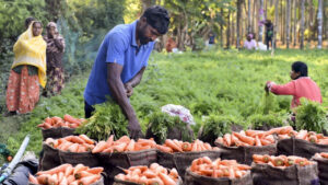 India-US trade agreement