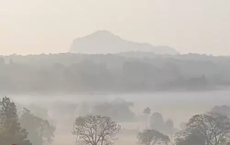Mausam: मध्य प्रदेश में बदले मौसम के मिजाज, 20 जिलों में छाया घना कोहरा, फसलों को नुकसान