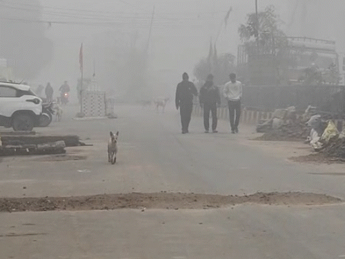 प्रदेश के कई जिलों में बारिश के साथ गिरे ओले, धुंध ने गाड़ियों की रफ़्तार पर लगा दिए ब्रेक