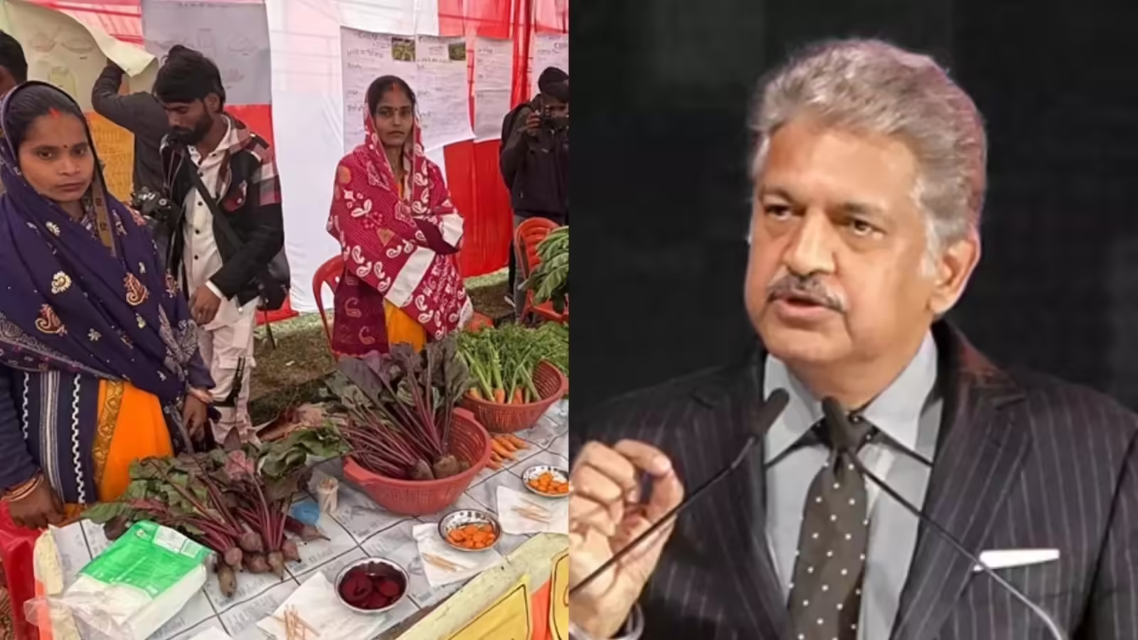 Traditional Farming Anand Mahindra