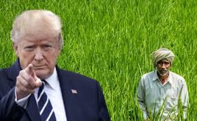 कृषि और डेयरी पर भारत का सामान्य रुख