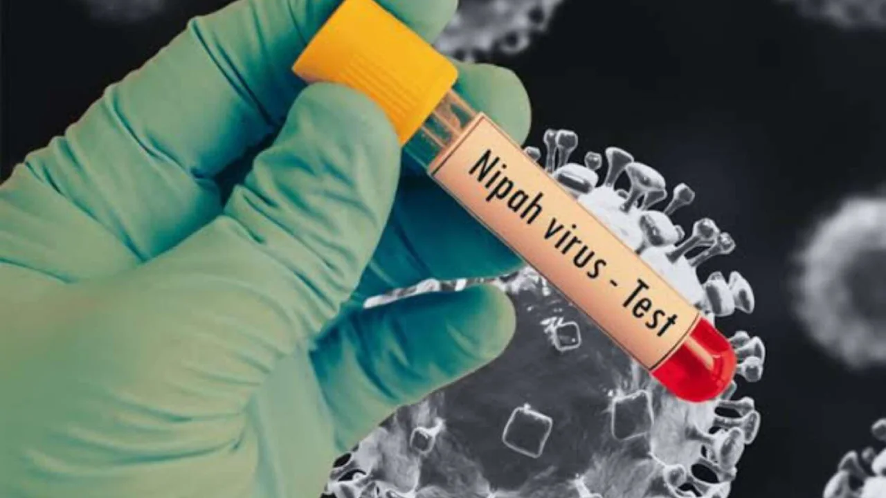 निपाह वायरस