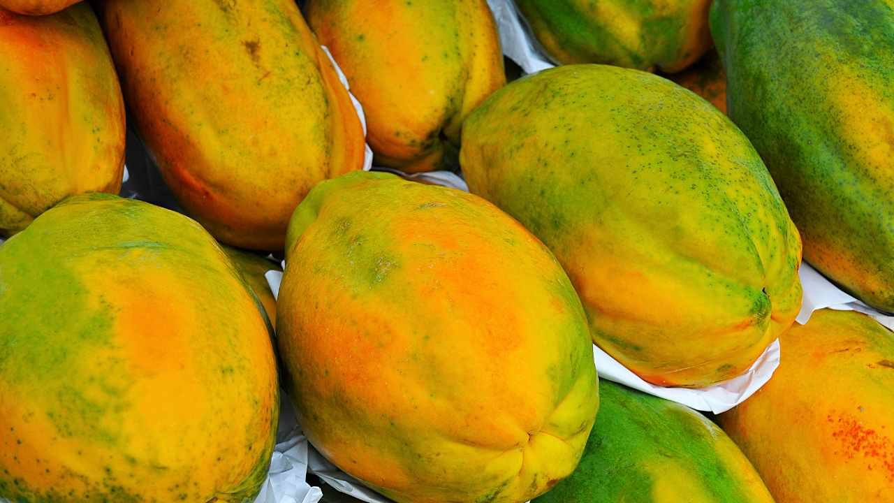 पपीता खाने के फायदे