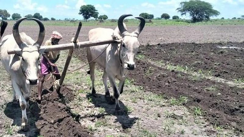 कुल्हाड़ी