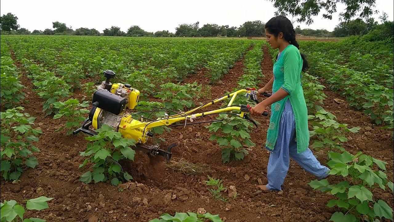 पावर वीडर