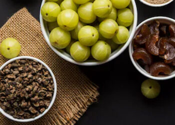 Amla Benefit Amla Benefits