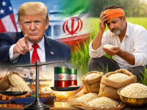 Basmati rice trade effect Iran-US war