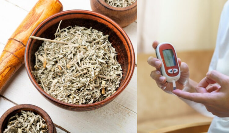 Benefits of Chirata 1 Benefits of Chirata