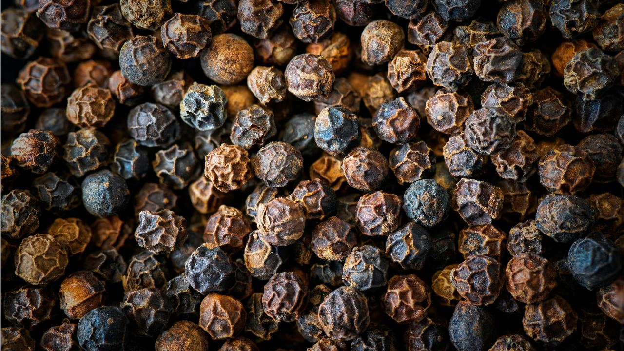 काली मिर्च