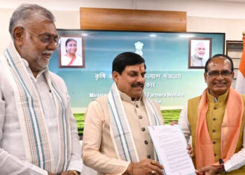 'Bhavantar' on Mustard