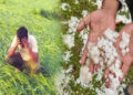 Crops Devastated by Hailstorm MP Weather