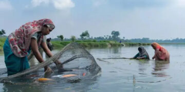 Freshwater Fish Production