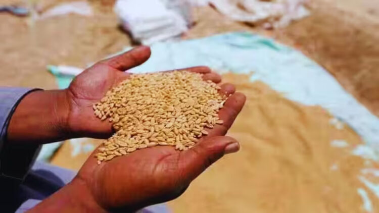 Free Food Grain Yojana