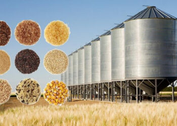 Grain Storage Facilities