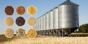 Grain Storage Facilities