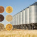 Grain Storage Facilities