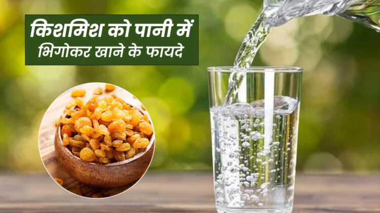 Health Tips