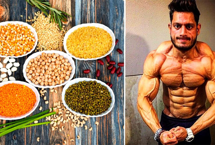 Highest Protein Highest Protein