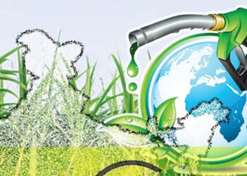 India ethanol policy