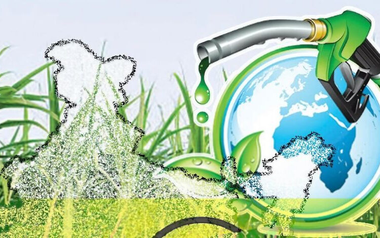 India ethanol policy