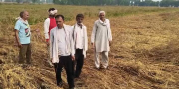 Kisan Advice 1 1 Kisan Advice