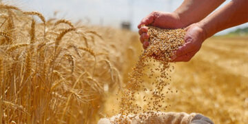 Kisan Success Story Kisan Success Story