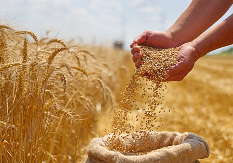 Kisan Success Story Kisan Success Story