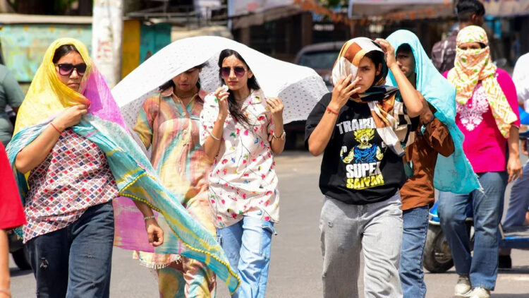 MP Weather 3 MP Weather