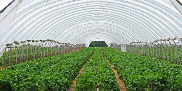 Multicropping Farming