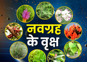 Navgrah Shanti Upay Navgrah Shanti Upay