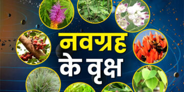 Navgrah Shanti Upay