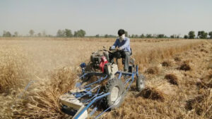 Reaper Binder Machine