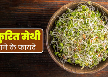 Sprouted Fenugreek Benefit