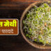 Sprouted Fenugreek Benefit