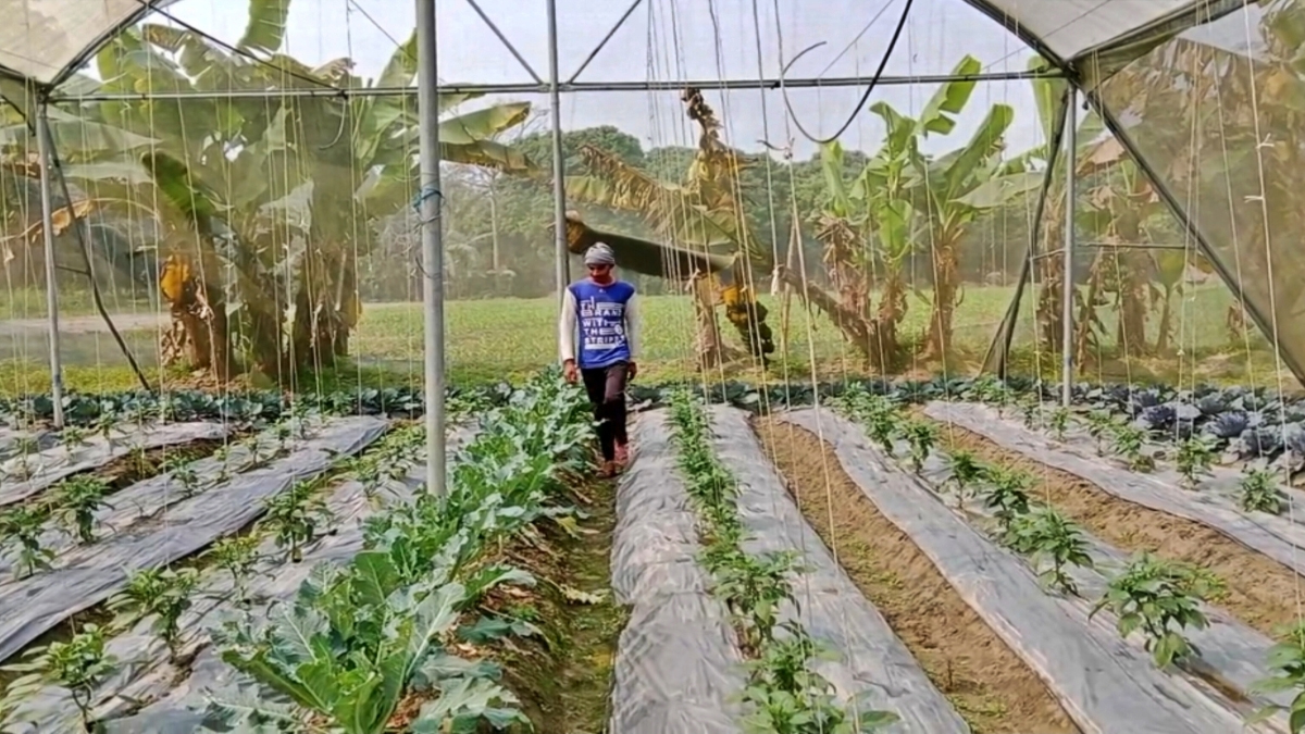 Success Story 1 Success Story