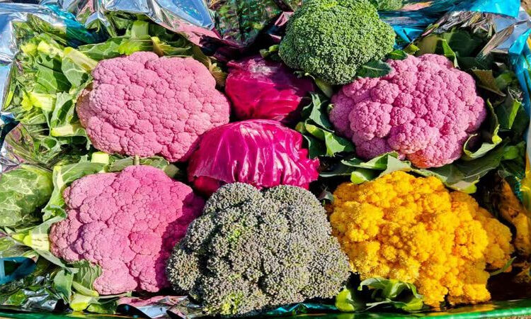 Success Story Success Story