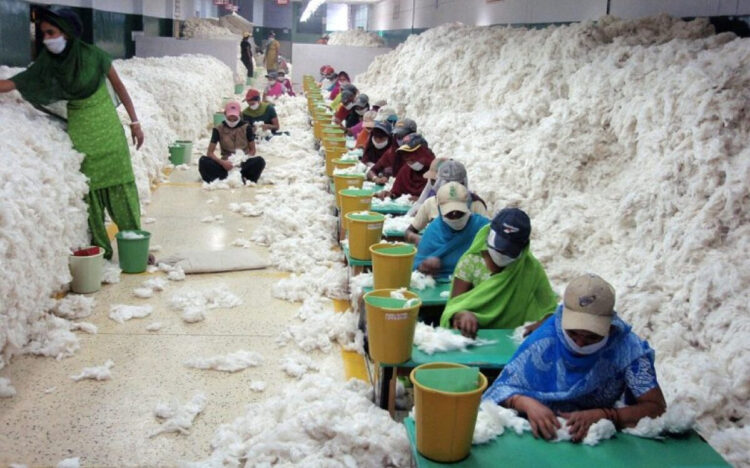 Textile Sector 1 Textile Sector