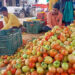 Tomato price