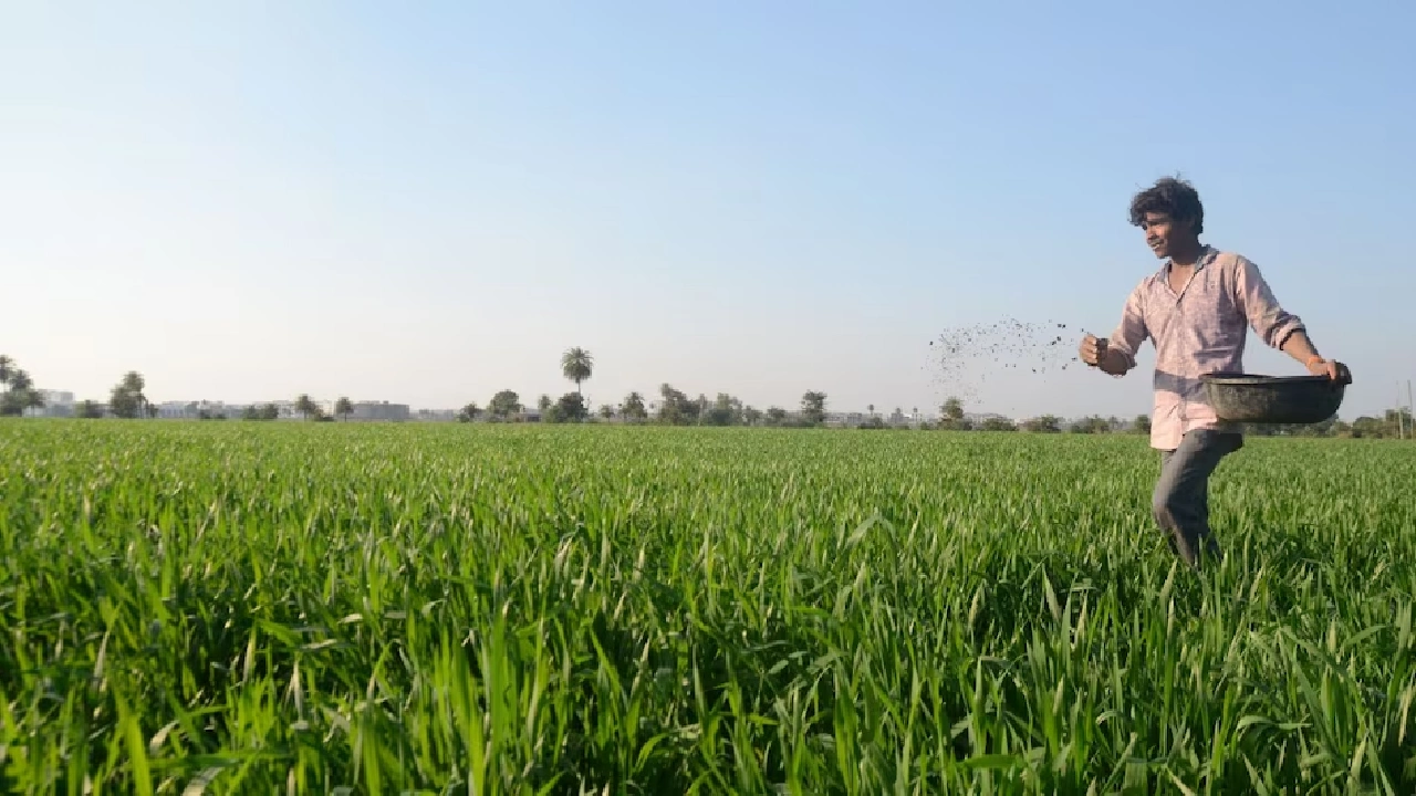 खरीफ सीजन में यूरिया की समय पर सप्लाई सुनिश्चित करने की मांग